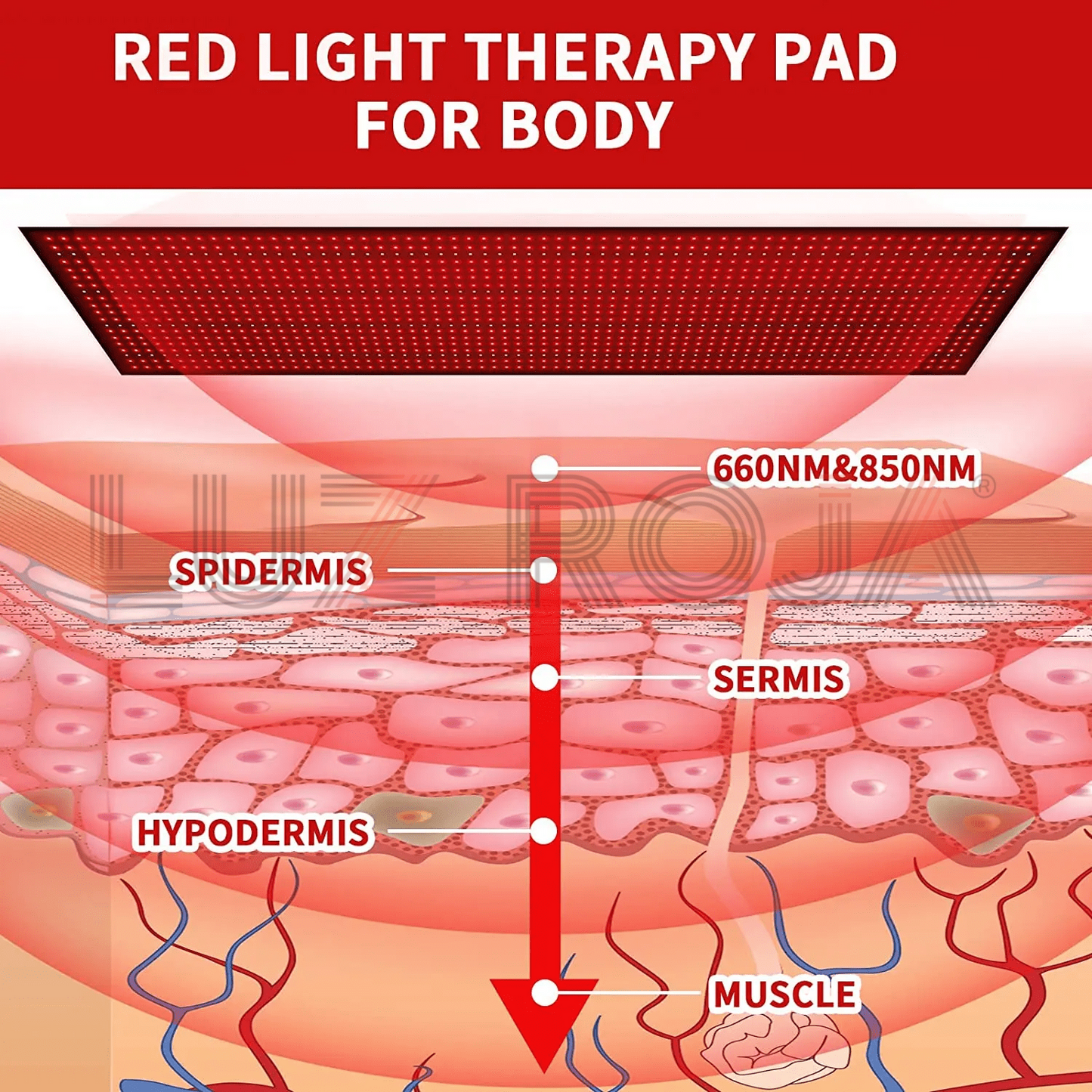 Esterilla de terapia de luz roja, lumínica Infrared Max Mat