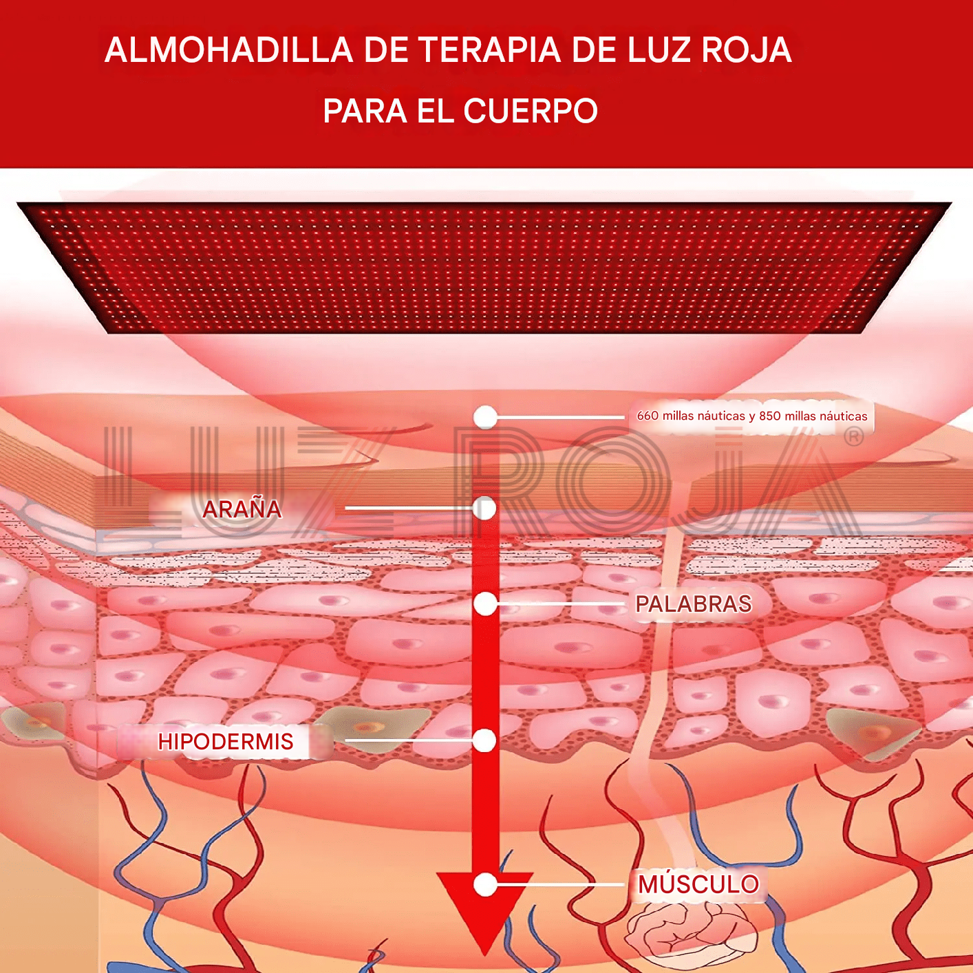 Esterilla de terapia de luz roja, lumínica Infrared Max Mat