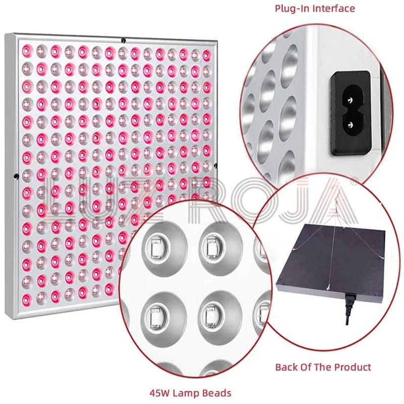 Panel LED Terapia Lumínica Avanzada
