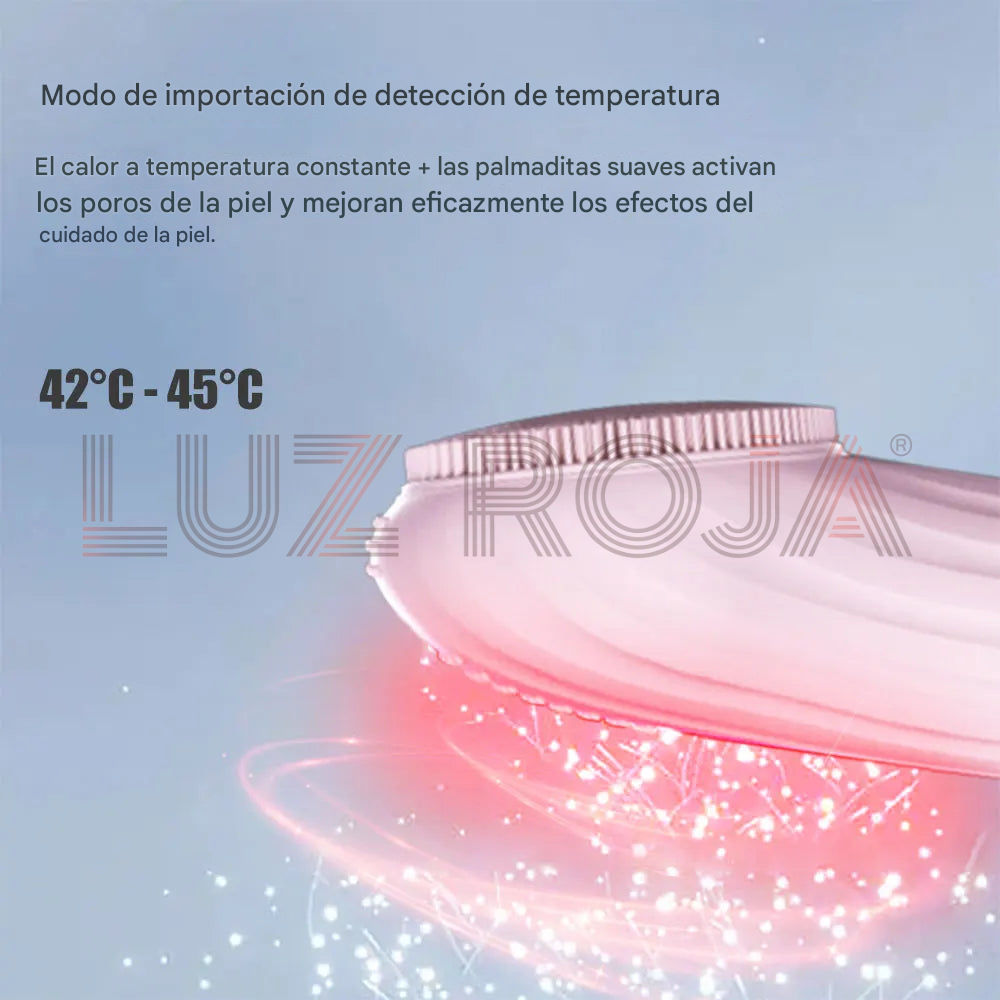 Sonic Cleansing Beauty Brush