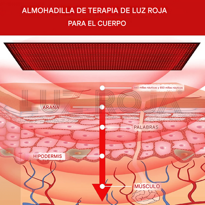 Red Light Therapy Mat, Infrared Max Mat