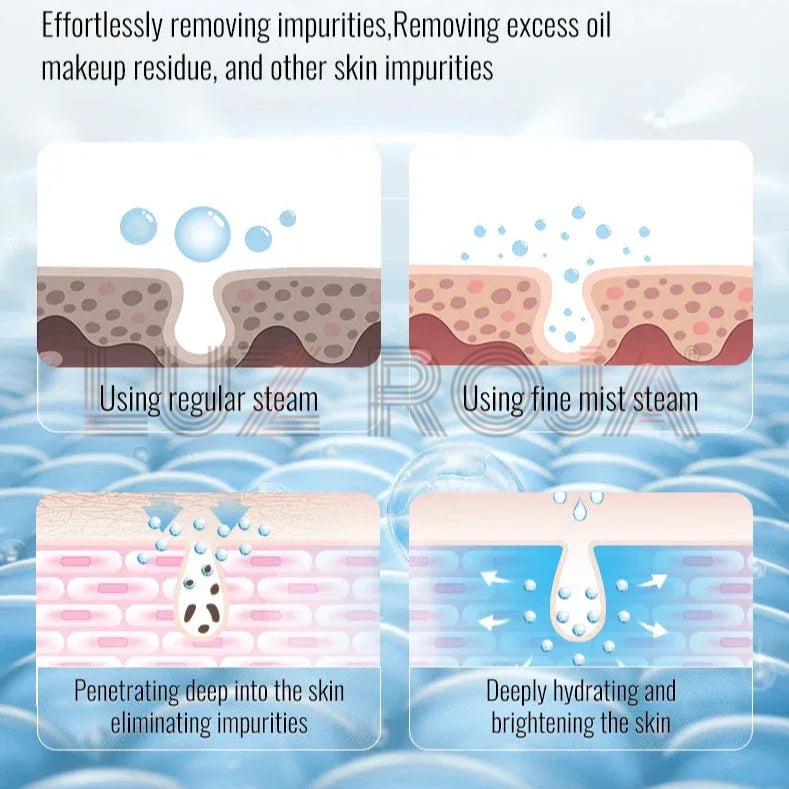KSKIN Ionic Facial Steamer