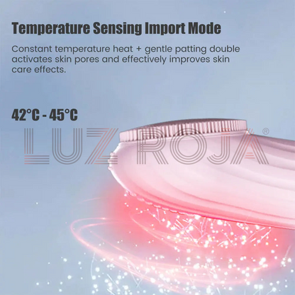 Sonic Cleansing Beauty Brush