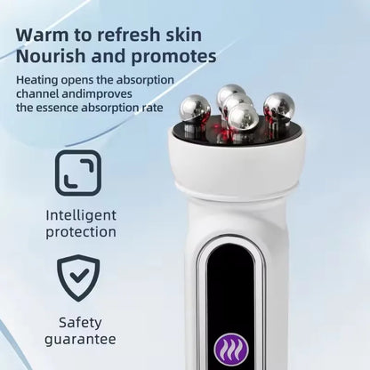 Rollo Facial EMS LED 360